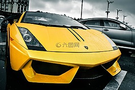 黄色,车,蓝博