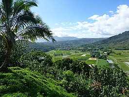 考艾岛,哈纳莱伊,夏威夷