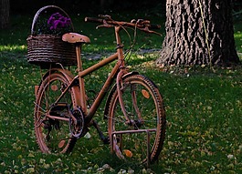 自行车,老,复古