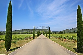法国南部,自由旅行,波恩