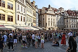 人群,阵营,人类