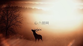 字段,性质,赫尔