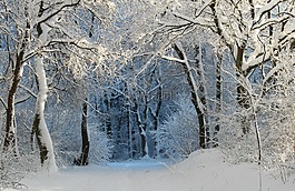 冬天,寒冬,雪魔