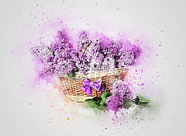 鲜花,丁香,篮