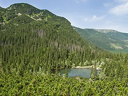 roháče,国家,普莱索