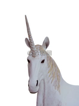png,独角兽,神奇的动物