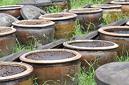 酱油,发酵,食品