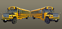 校车,巴士,学校
