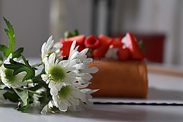 蛋糕,食物,花