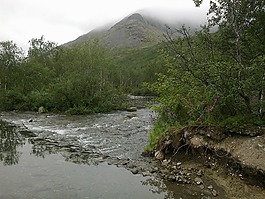 山,希比内山山脉,雾