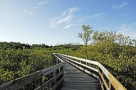 海滩,通路,自然