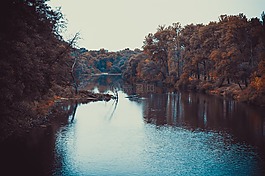 景观,河,晚上