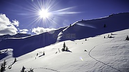 雪景,冬天,雪