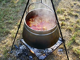 水壶炖牛肉,食品,免费生火做饭