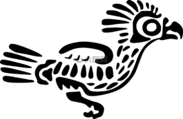 鸟,墨西哥,印加