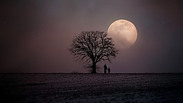 冬天,寒冬,月球