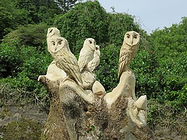 雕刻的猫头鹰,智者,木材