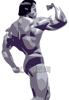 健美,构成,实力