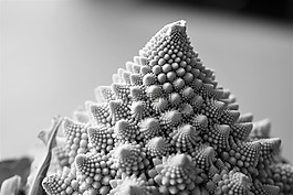 romanesco,蔬菜,菜花