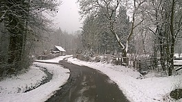 雪,施瓦伦贝格,冬天