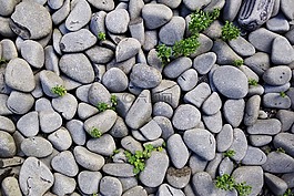 岩,石头,背景