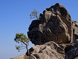 科西嘉,岩,性质