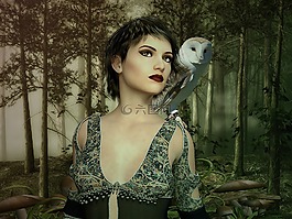 女性,幻想的女人,女子