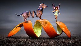 幻想,狗,小精灵
