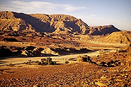 西奈,沙漠,埃及