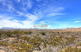 大弯国家公园,德州,美国