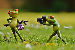 青蛙,摄影师,模型