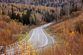 秋季,道路,秋季森林