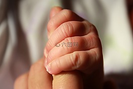 宝宝控股手,婴儿,手