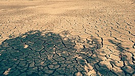 干涸,土地,水