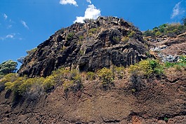 马德拉,岩,wegetation