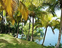 手掌,海,节假日