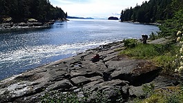 海景,潮,电流