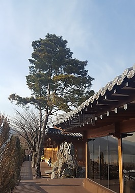 扬州唯一的宫殿,松,韩屋