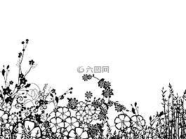 蔓藤花纹,原因,鲜花
