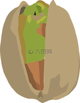 阿月浑子,螺母,外壳