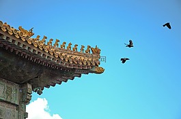 故宫,屋檐,北京