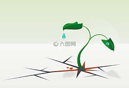 电阻,生存,叶子