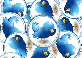 twitter,标志,鸟