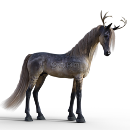 马,独角兽,幻想