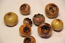 枸杞子,mespilus 小蠊,水果
