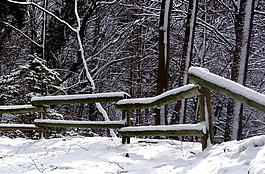 冬天,雪,冬天风景