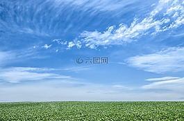 蓝色的天空,天空,绿色