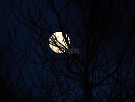 月亮,月光下,蓝色的天空