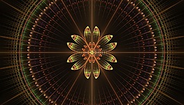 分形,花的,曼陀罗