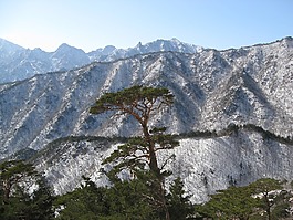 山 seoraksan,积雪和岩石,蔚山岩